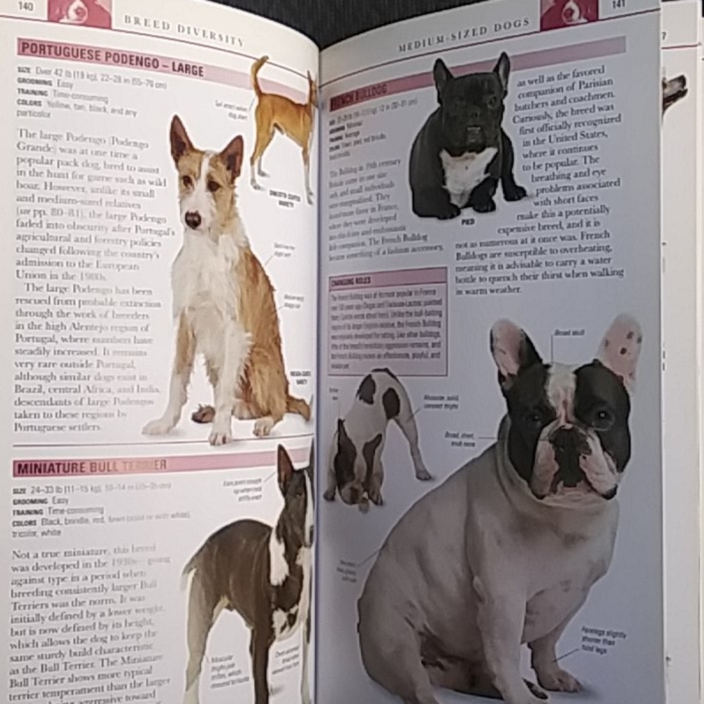 Dogs book - Picture 2 of 4